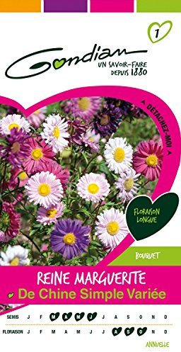 Gondian 166560 Semences-Reine Marguerite de Chine Simple Variee-CP 1, Multicolore, 1x8.1x16 cm