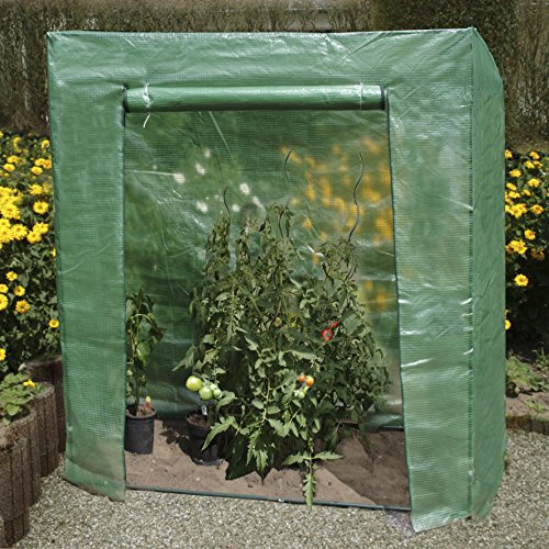 Floraworld Tomatenhaus Comfort floraworld 192x215x60cm