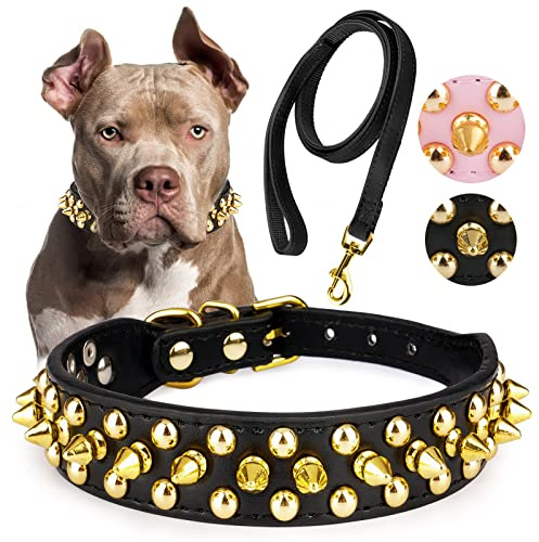 Epesiri Goldenes Spike Halsband für Hunde, Goldkette Hundehalsband, Spiked Hundehalsband, strapazierfähiges PU-Leder Nieten-Hundehalsband mit Leine, lustige Pilze, verstellbares Halsband, Schwarz XL