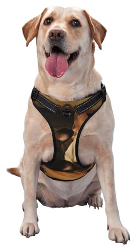 Französische Bulldogge, Haustiergeschirr, Verstellbares reflektierendes Hundegeschirr, Haustierleinenweste,M