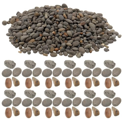 Totority Mini Scenery Basing Stones 2-5Mm Dark Grey Decorative Rocks for Sand Table and Fish Tank Layout 50G Bag