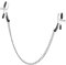 Pipedream Fetish Fantasy Series Alligator Nipple Clamps, Silver, One Size
