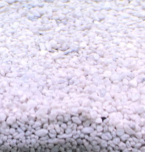 Silbermann Ocean White Sand, Bodengrund in verschiedenen Körnungen und Größen (5 kg grob)