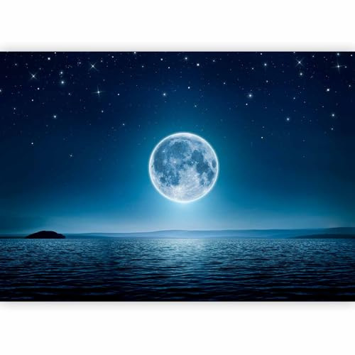 Papier peint murando intissé 400x280 cm Décoration Murale XXL Poster Tableaux Muraux Tapisserie Photo Trompe l'oeil Etoiles Mer Lune Nuit Lune ciel c-A-0036-a-a