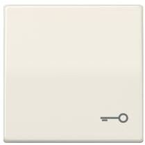 Jung AS591T Wippe mit Symbol Tuer