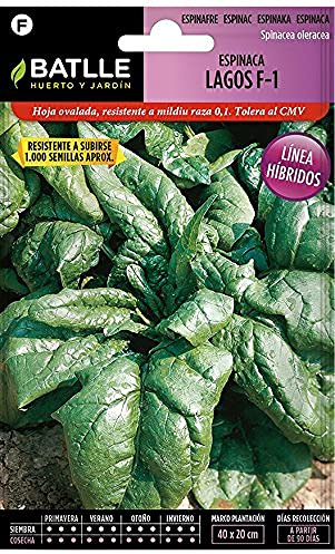 Semillas Batlle Espinaca Lagos F-1