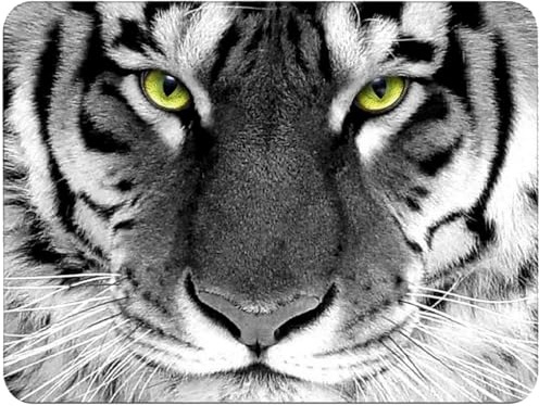 Silent Monsters Mauspad 240 x 200 mm Stoff Mousepad Tiger, rutschfest & leise, für Gaming Büro Office Homeoffice - 24 x 20 cm Mouse Pad Mat - Mausunterlage klein für alle Maus Arten