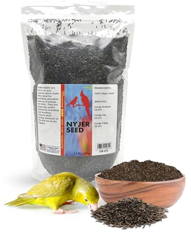 Morning Bird Nyjer Seed for Birds 1.5 lbs – Energizing Nutrition with Rich Natural and Healthy Fats – Ideal Bird Food for Breeding & Molting – Great for Canaries, and Other Seed-Eating All Birds