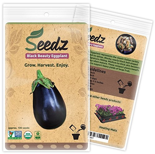 Organic Eggplant Seeds, APPR. 100, Black Beauty Eggplant, Heirloom Vegetable Seeds, Certified Organic, Non GMO, Non Hybrid, USA