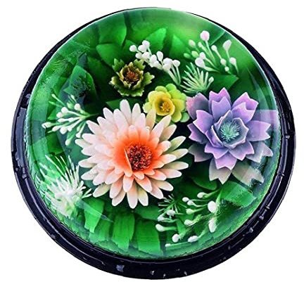Ruluti 11pcs / Set Gelatina Gelatina Art Pudding Decoration Flower Decoration Stampo Ago Strumenti Acciaio Inossidabile Ugello Siringa Accessori per la Cottura Kit
