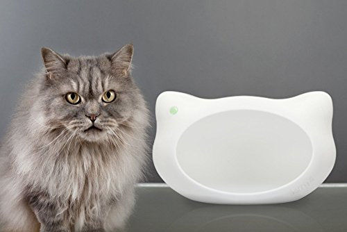 Design Katzenhöhle/Katzenbett/Katzenhaus Jerry (weiß) aus Kunststoff Modell 2014