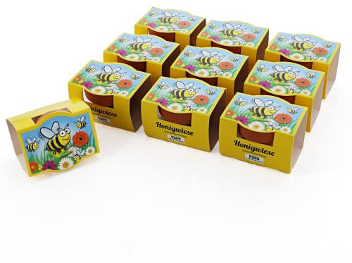 Bull & Bear 10er Set Mini-Pflanzset Honigwiese, 10x Blumensamen im Topf 4,5cm, Blumenmischung als Anzuchtset mit Pflegeanleitung