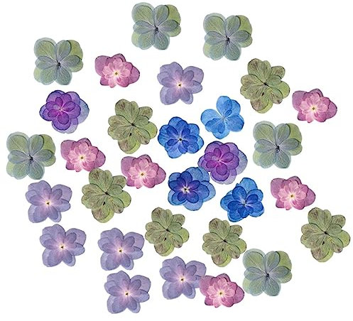 MUSISALY 30stücke Getrocknete Gepresste Blumen Echte Trockenblumen Für DIY-harzhandwerk Kerzenherstellung Kleine Trockenblumen Für Bastelmaterialien