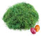 COM-FOUR® 240g Herbe de Pâques en vert pour nids de Pâques - Décorations de Pâques pour l'artisanat - laine de bois pour paniers de Pâques (Set5 - Herbe de Pâques verte - 4x)