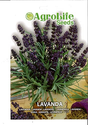 SEMI SEMENTI DI LAVANDA IN BUSTINA