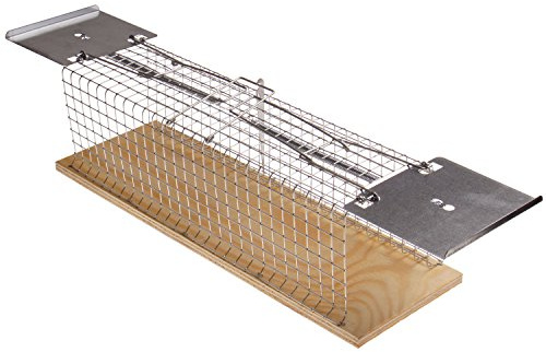 WAIDMEISTER Drahtkastenfalle Lebendfalle 38 x 12 x 12cm Rattenfalle mit Zwei Eingängen