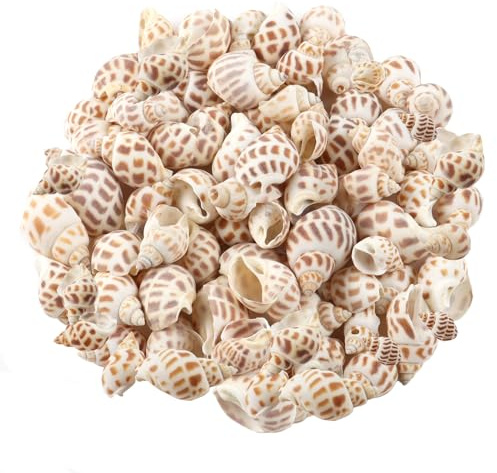 MsTeco Muscheln, 200g Weiß Muschel Deko Muscheln zum Basteln Natürlichen Spiral Muschel Perlen Ungebohrt für DIY Kunsthandwerk, Vase Füllstoffe (2-3cm)