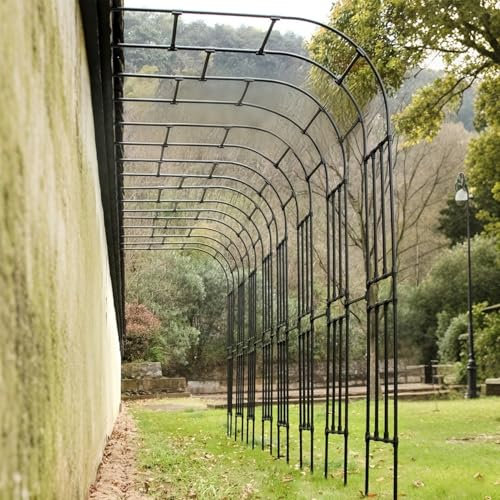 Demi-arche de rosiers en acier galvanisé, treillis et tonnelles de soutien pour rosiers grimpants, arches extérieures résistantes aux intempéries pour plantes grimpantes de jardin(220x240x40CM/7.2x7.9