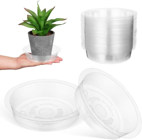 YARNOW 60pcs Plastic Flower Pot Dish - 6 Round Decorative Planter Drip Tray for Indoor And Outdoor Plants - Water Catch Plate Plant Saucers - Gardening Accessories