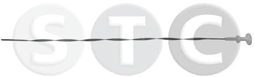 STC Jauge de niveau d'huile T404612 pour FIAT Scudo Kastenwagen (220_)