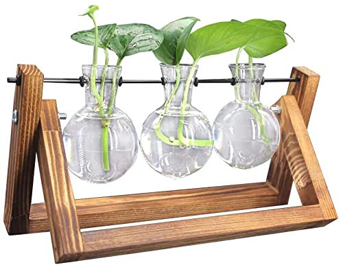 Lot de 3 pots de fleurs en verre transparent avec support en bois massif rétro pour plantes hydroponiques, décoration d'intérieur, jardin, mariage