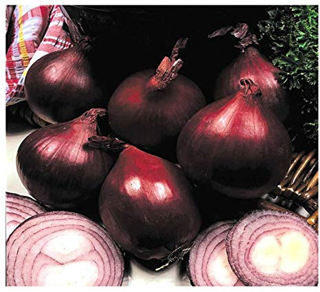 PREMIER SEEDS DIRECT - Onion - RED Baron - 4 Grams