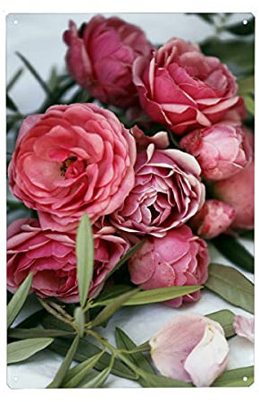 artboxONE Metall-Poster 30x45 cm Natur Rosen und Olivenbaum Blätter von Künstler Wundertüte