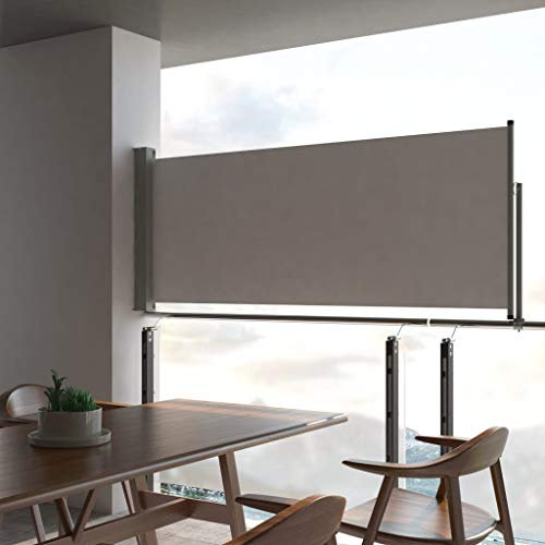 SKM Toldo lateral retráctil, 100 x 300 cm, gris (5,08) kg