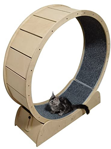 Katzenlaufrad Katzenübungs-Riesenrad aus Holz, haustierfreundliches Katzenlaufband, Katzenlaufrad mit winziger Lücke für Hauskatzen, kleines/mittleres/großes Haustierspielzeug (Größe: 100 cm