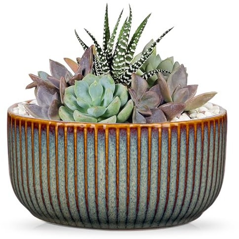 Oairse Vaso in ceramica a coste, per bonsai con foro di drenaggio, per piante d'appartamento, decorazione retrò per set di contenitori da giardino all'aperto, marrone, diametro apertura 14 cm