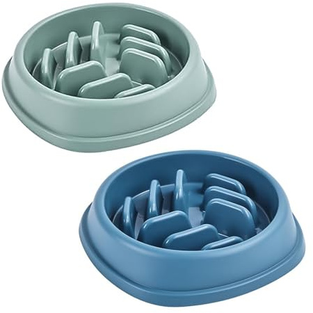XBOGO Slow Feeder Hundenäpfe, 2er-Pack, Rutschfester Hundenapf für langsames Fressen, Maze-Hundefutternapf, Slow Feeder-Napf für Haustiere Aller Rassen (Grün & Blau)