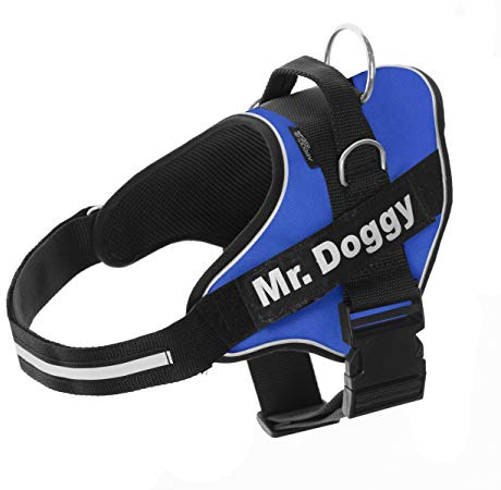 MR. DOGGY Personalisiertes Hundegeschirr - Reflektierendes und sicheres Hundegeschirr - Enthält 2 Namensschilder - Klein, Mittel und Groß - Qualität und Beständigkeit (Blau, L 20-35KG)