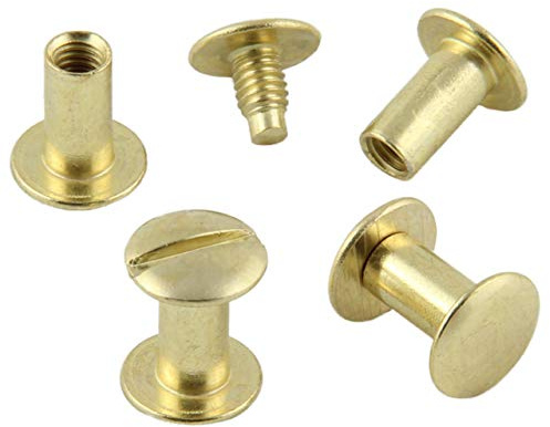 KLEBESHOP24 Buchschrauben vermessingt 12 mm, 20 Stück | Für Speisekarten, Musterbücher, Mappen, Alben und Bastelarbeiten