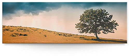 Eindrucksvolles XXL Panorama Landschafts Wand-Bild, Baum Gewitter als Leinwandbild mit 150x50cm. Dieses große Bild setzt Ihr Wohnzimmer oder Schlafzimmer definitiv in Szene