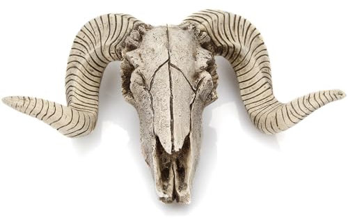 HOQUSA Skeleton Sheep Head Wall Sculpture, Sheep Horn Skull Wall Hanging Resin ram Decoration, ram Skeleton Sculpture Hanging Art Collection, Decoration Used for Homes, Offices, Living Rooms (White)