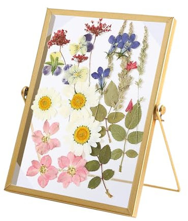 XQMMGO Bilderrahmen Glasrahmen für Gepresste Blumen 15 X 20 cm, Doppelseitiger Fotorahmen, Glasrahmen für Gepresste Blumen, Getrockneter Blumen Artwork Bild Display Halter
