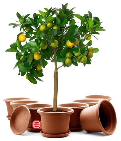BigDean 8X Blumentopf mit Untersetzer rund ø 35 cm Terrakotta wetterfest | wetterfester Pflanzkübel Made in Europe