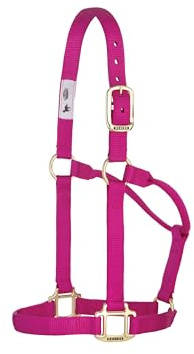Weaver Leather Original - Cavezza Non Regolabile, per Cavallo tra 1 e 2 Anni, M, Lampone