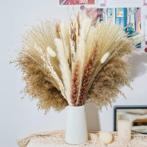 Natürliche Trockenblumen Pampasgras Deko,Getrocknete Pampasgrasdekoration,DIY Trockenblumenstrauß für Getrocknete Blumen Strauss,Boho Wohnzimmer-Schlafzimme (XML-028)