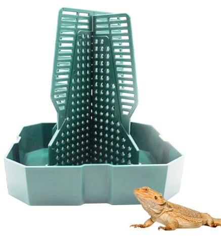Bearded Dragon Tank Accessories, Lizard Feeder, Reptile Food Cup, Dubia Roaches Organizer with Column for Prey to Climb and Move, Food Bowl for Bearded Dragon, Gecko, Frog