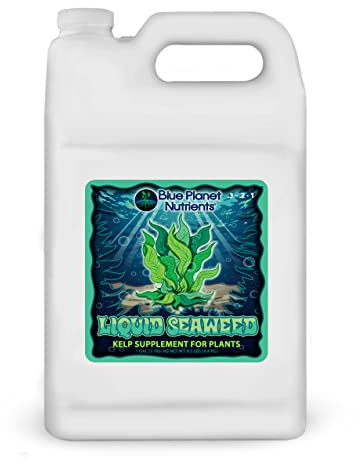 Liquid Kelp Seaweed Fertilizer Concentrate (Gallon) - Blue Planet Nutrients Ascophyllum Nodosum Liquid Seaweed Supplement - Makes 1,600+ Gallons - Organic Kelp for All Plants & Gardens