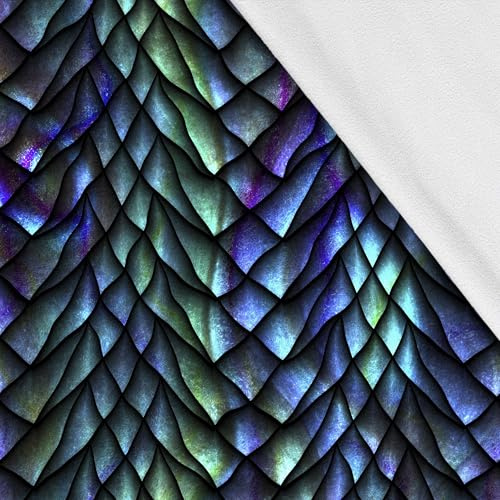 HEKO PANELS Softshell Stoff, Meterware, Blau, 2 Meter 150 x 200 cm | wasserfester und windfester Outdoor Stoff mit Fleece, Nähstoffe für Jacken und Overalls, funktional zum Nähen und DIY
