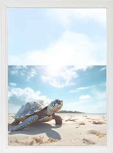 GRAZDesign Fensterfolie Blickdicht Sichtschutz, Sichtschutzfolie Fenster, Glastüren, Duschkabine, Milchglasfolie Bedruckt mit Motiv Schildkröte am Strand 70x57cm