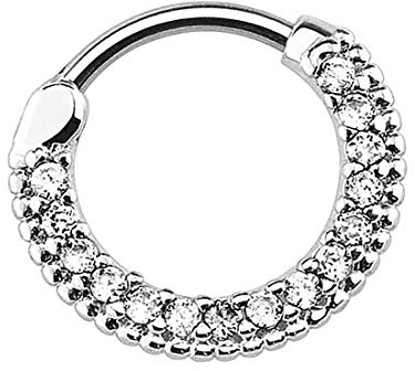 Taffstyle Segment Piercing mit Scharnier Chirurgenstahl mit Kristall für Septum Tragus Helix Nase Lippe Ohr Intim