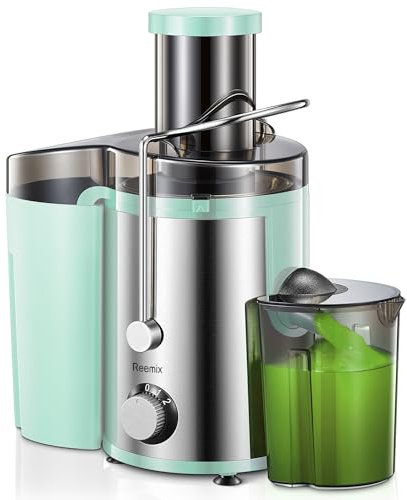 Reemix Licuadoras Para Verduras y Frutas, Licuadora de Acero Inoxidable, Fácil de Limpiar, 2 Modos de Velocidad, 65MM de Boca Ancha, Pies Nondeslizantes, Cepillo Incluido (Verde, 800W)