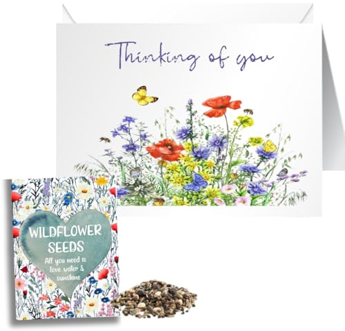 Sympathy Card Gift of Wildflower Seeds Matching Seed Packet Memory Card - Thinking of You