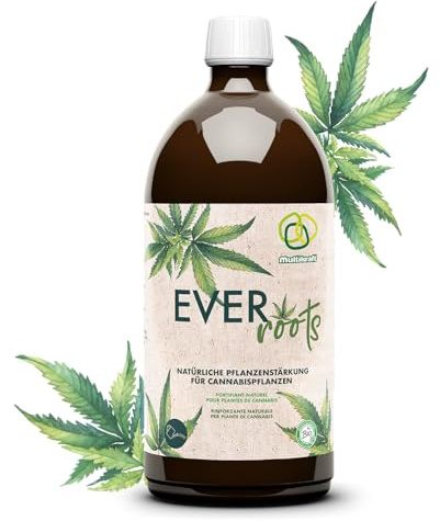 Multikraft Everroots Pflanzenstärkung mit Mikroorganismen (1 L) – Biologischer Wurzel-Booster für starke Jungpflanzen & gesundes Wachstum – Für Anzucht, Umtopfen & Outdoor