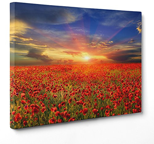 Quadro su Tela Canvas - INTELAIATO - Pronto da Appendere - Papaveri Rossi - Fiori Natura - Panorama Paesaggio - 50x70cm - Senza Cornice - (cod.4570)