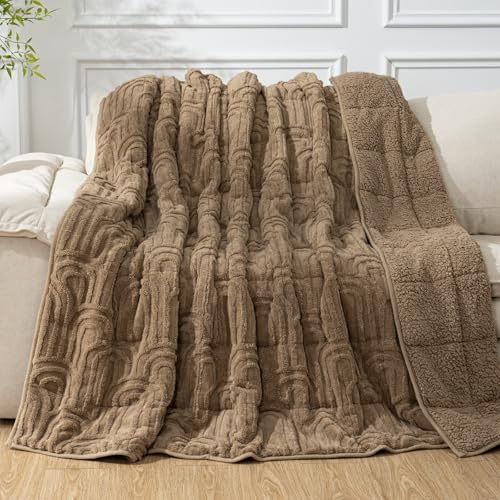 Cottonblue Jacquard Weighted Blanket for Adults 15 lbs Twin Size, Cozy Fluffy Sherpa Fleece Weighted Throw Blankets 60 x 80 for Sleep Relax, Fuzzy Warm Arch Heavy Blanket Soft for Bed Couch, Khaki