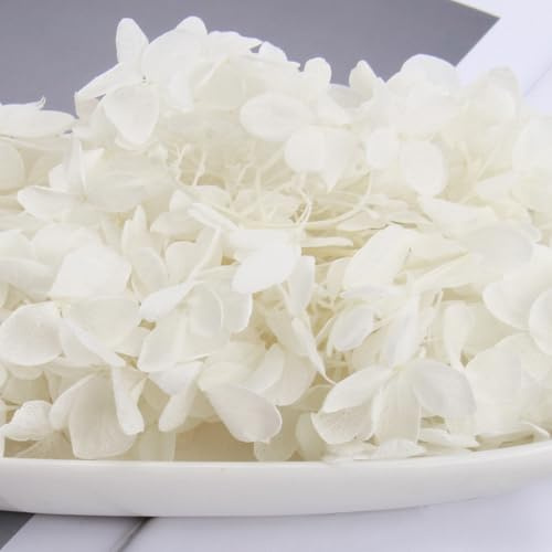 Lot de 3 boîtes de véritables pétales de fleurs d'hortensia blanc ivoire séché, petites fleurs artificielles pour mariage, confettis de fête, paniers de demoiselle d'honneur, nuit romantique